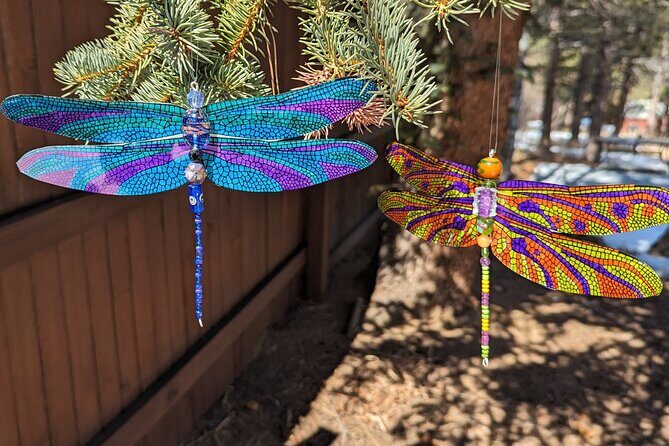 Dragonfly Suncatcher Art Kit in Estes Park - The Creative Process