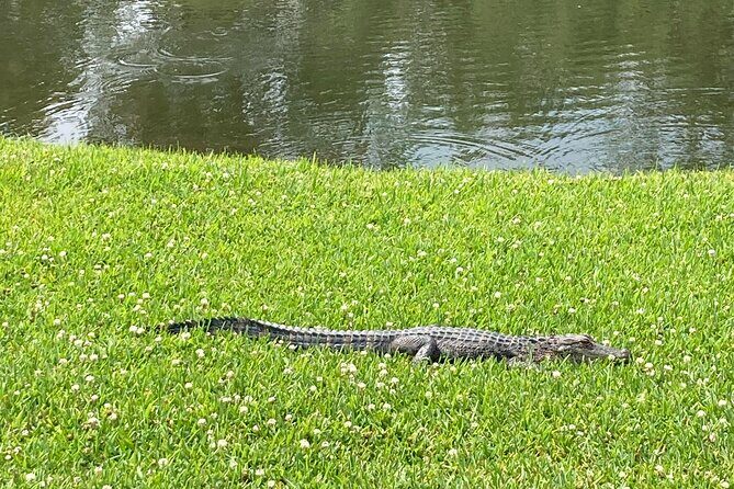 Drayton Hall Plantation Tour - What Do the Reviews Say?