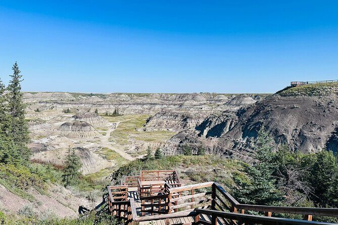 Drumheller Day Trip Museum, Dinosaurs and Historic Sites - Who Should Consider This Tour?