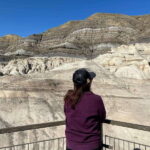 Drumheller Full-day Private Sightseeing Tour - Transportation, Timing, and Comfort