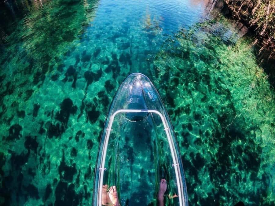 Dunnellon: Rainbow Springs Clear Kayak Guided Tour - The Leisurely Return and Reflection