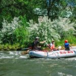 Durango 1/4 Day Rafting Trip - Lower Animas River - What to Expect During the Trip