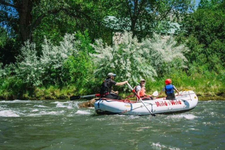 Durango 1/4 Day Rafting Trip - Lower Animas River - What to Expect During the Trip