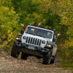 Durango ~ La Plata Canyon Half-Day Jeep Tour - The Itinerary: What to Expect
