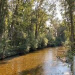 E-Bike Salmon Adventure - Final Thoughts