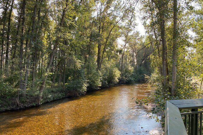 E-Bike Salmon Adventure - Final Thoughts