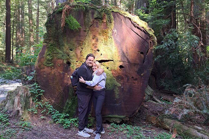 E-Bike Tour in the Avenue of the Giants Redwood Forests - 4 Hours - Final Thoughts: Is It Worth It?