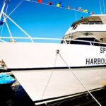 Early Bird Latin Inspired Dinner Cruise - The Itinerary: A Mix of Leisure and Learning