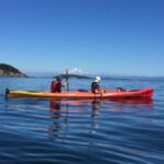 Eastsound: Guided Sucia Island Kayak Tour & Day Trip - Wildlife and natural features