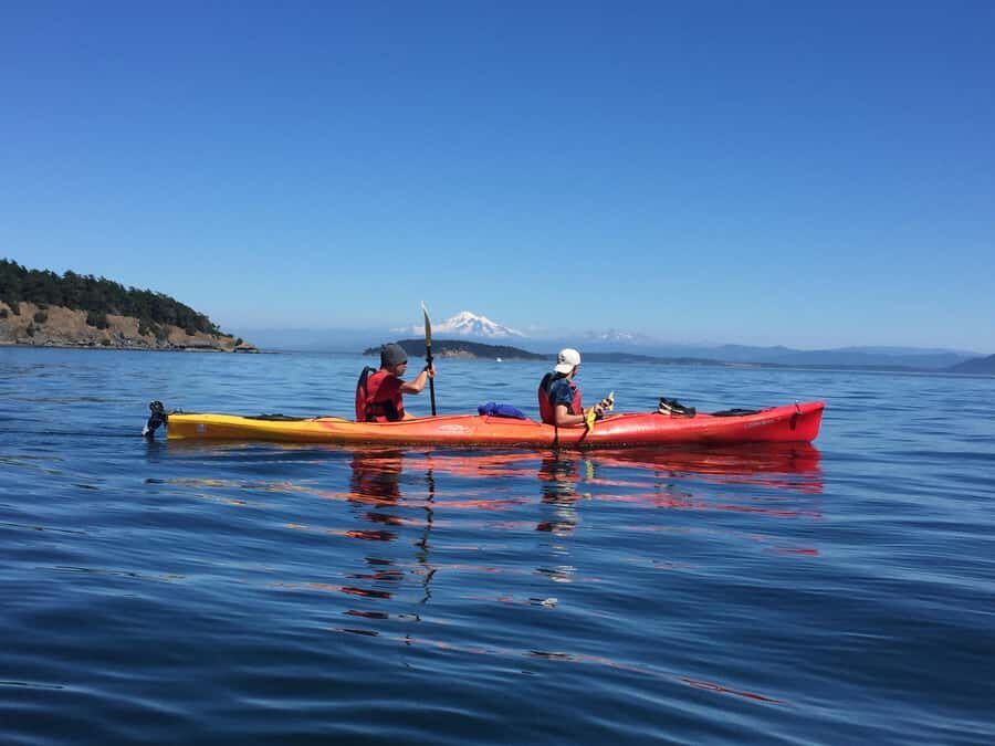 Eastsound: Guided Sucia Island Kayak Tour & Day Trip - Wildlife and natural features