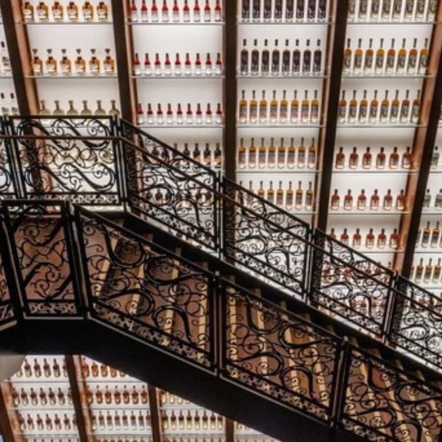 Eat, Drink, and "Vue" New Orleans! - The Value of This Tour