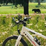 eBike Adventure in Whistler - Key Points