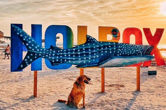 ECO-Adventure at Holbox Island and Cenote Yalahau from Cancun & Playa Del Carmen - Authenticity and Guide Experience