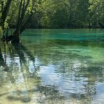 ECO adventure to Cypress Springs by Paddle Board or Kayak - Value and Pricing