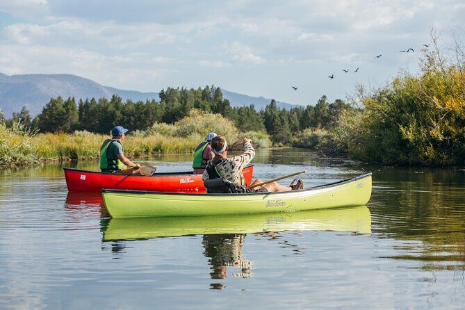 Eco Canoe Tour - What Travelers Say: Authentic Perspectives