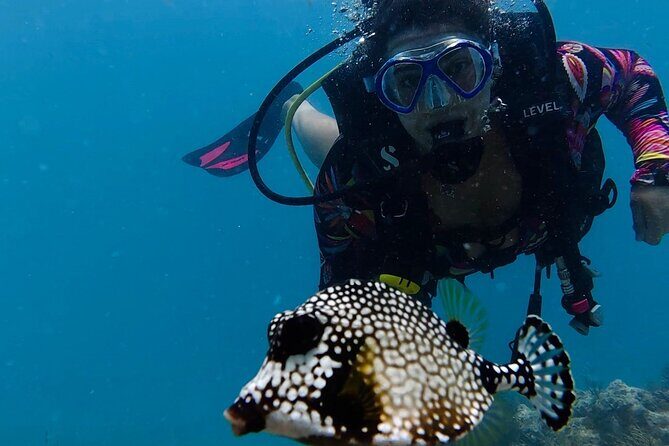 Eco Conscious Reef Diving with Southpoint Divers - The Itinerary Breakdown