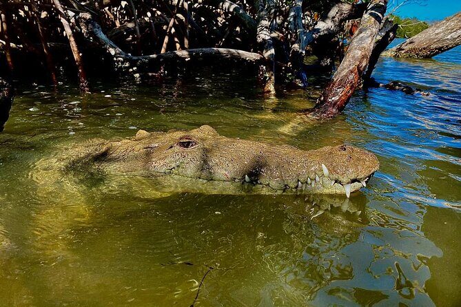 Eco Safari through the Ria Lagartos Natural Park - Overview of the Experience