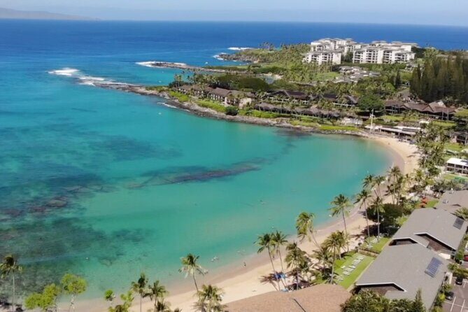 Eco Sea Scooter Beach Entry - Rent a GoPro Video tape Sea Turtles - Pricing and Value