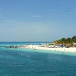 Eco Whale Shark Encounter - Final Thoughts on Value