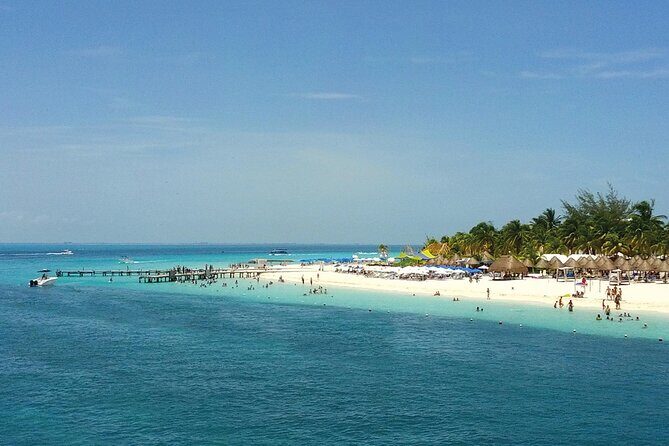 Eco Whale Shark Encounter - Final Thoughts on Value