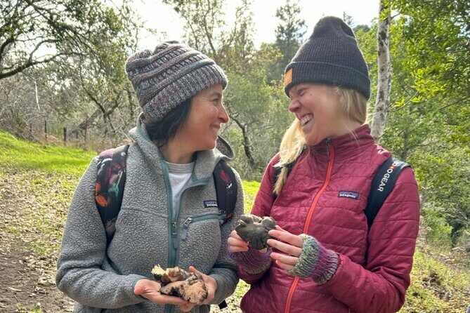 Ecological Mushroom Foraging Workshop - A Deep Dive into the Mushroom Foraging Experience