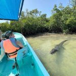 ECOSAFARI: Explore the mangroves, flamingos and crocodiles. - What You Can Expect from the EcoSafari Experience