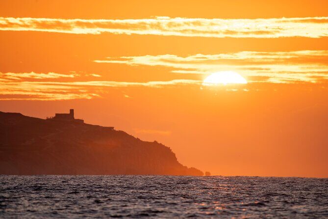 Educational Sunrise Whale Watching with Photos Included - Who Will Love This Experience?