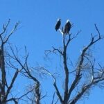 Effortlessly E Bike the Verde Valley Riparian Habitat - Who Will Love This Tour?