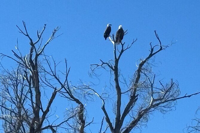 Effortlessly E Bike the Verde Valley Riparian Habitat - Who Will Love This Tour?