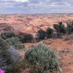 Eggshell Arch Day Tour - Who Will Love This Tour?