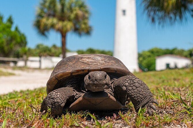 Egmont Key Ferry from Ft. DeSoto Park - Who Should Consider This Tour?