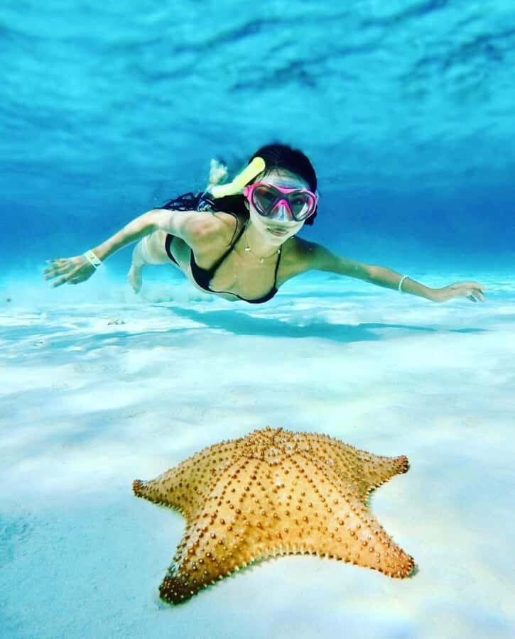 El Cielo and El Cielito Catamaran Tour with Slide and Open Bar - The Value of This Tour