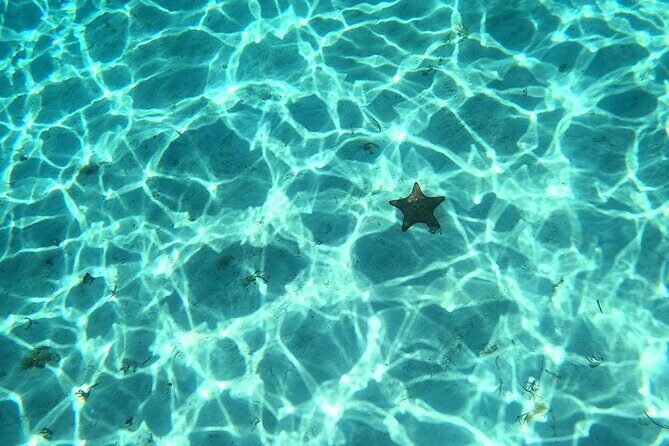 El Cielo and Snorkeling for Cruise Ship Passengers - The Details That Matter