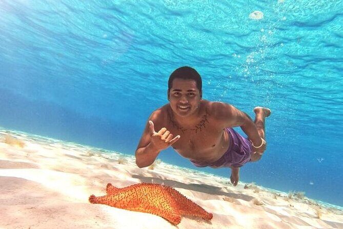 El Cielo Beach Snorkeling Adventure by Catamaran - What’s Included and What You Should Expect