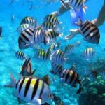 El Cielo Cozumel - The Itinerary Breakdown: What to Expect