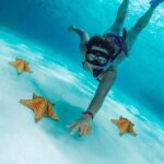 El Cielo Cozumel, a paradisiacal tour. Be amazed by the stars near to you. - Beach and Food: The Relaxing Finale
