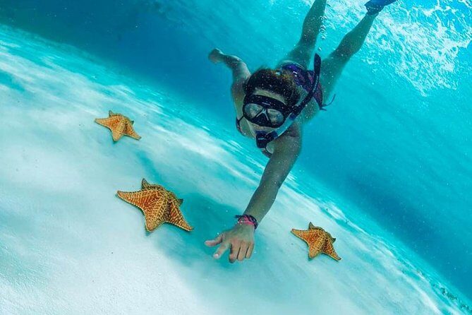 El Cielo Cozumel, a paradisiacal tour. Be amazed by the stars near to you. - Beach and Food: The Relaxing Finale