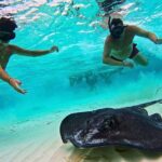 El Cielo Cozumel Snorkel Private Tour Big Group + Food Drinks - What Do Real Travelers Say?