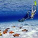 El Cielo Cozumel Snorkel Share Boat + Reefs + Food Drinks + Beach - What Makes This Tour Stand Out