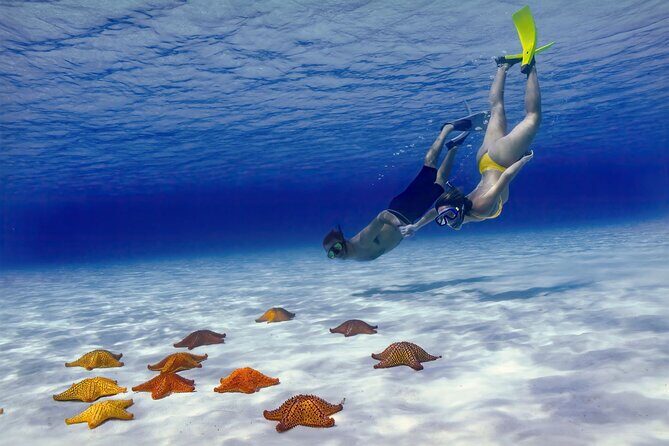 El Cielo Cozumel Snorkel Share Boat + Reefs + Food Drinks + Beach - What Makes This Tour Stand Out