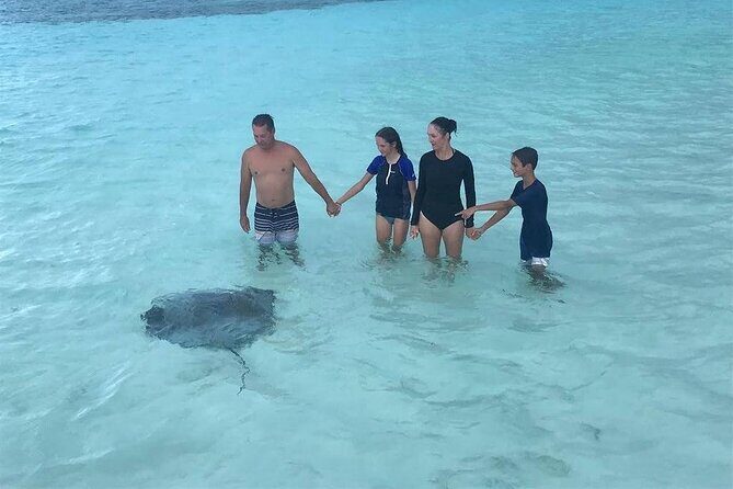 El Cielo Cozumel Snorkeling trip by Catamaran - Highlights and Possible Drawbacks