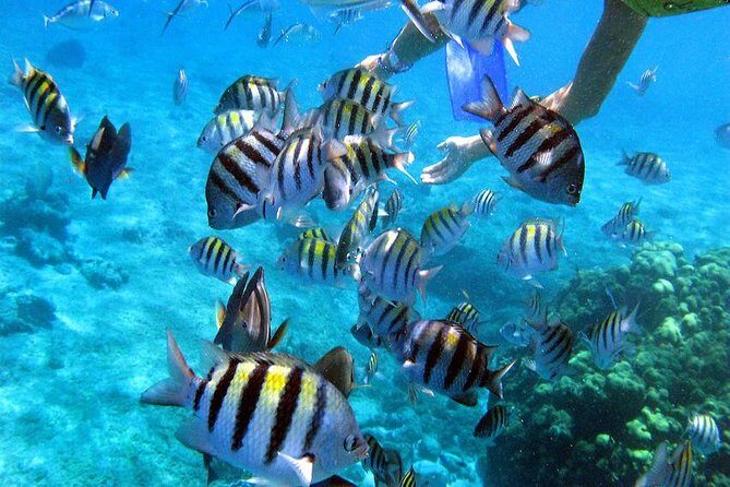 El Cielo Cozumel - The Itinerary Breakdown: What to Expect