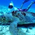 El Cielo Palancar and Columbia Snorkeling Tour - Authentic Marine Encounters and Guide Expertise