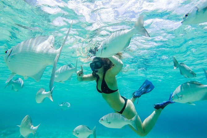 El Cielo Snorkel by Private Boat - The Sum Up