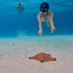El Cielo Snorkeling Tour and The Top Reefs of Cozumel - Final Thoughts