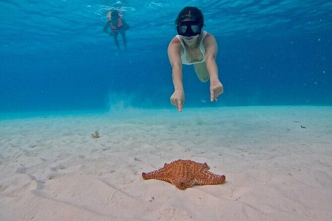 El Cielo Snorkeling Tour and The Top Reefs of Cozumel - Final Thoughts