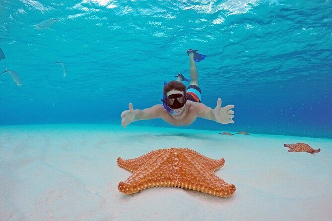El Cielo the Breathtaking Snorkel Tour of Cozumel Cielito Beach & Lunch Included - An In-Depth Look at the Experience