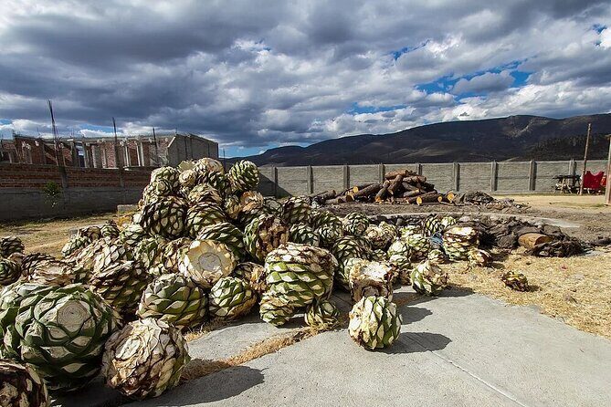 El Tule, Teotitlán, Mitla, Hierve el Agua and Mezcal Factory - The Sum Up