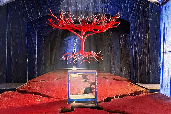 El Ultimo Sueno de Frida y Diego -Metropolitan Opera House Ticket - Practical Details and Value