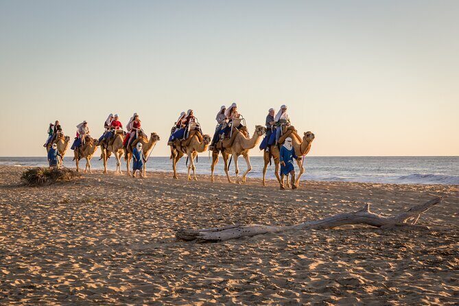 Electric Bike and Beach Camel Ride with Mexican Buffet Lunch - The Value of the Experience